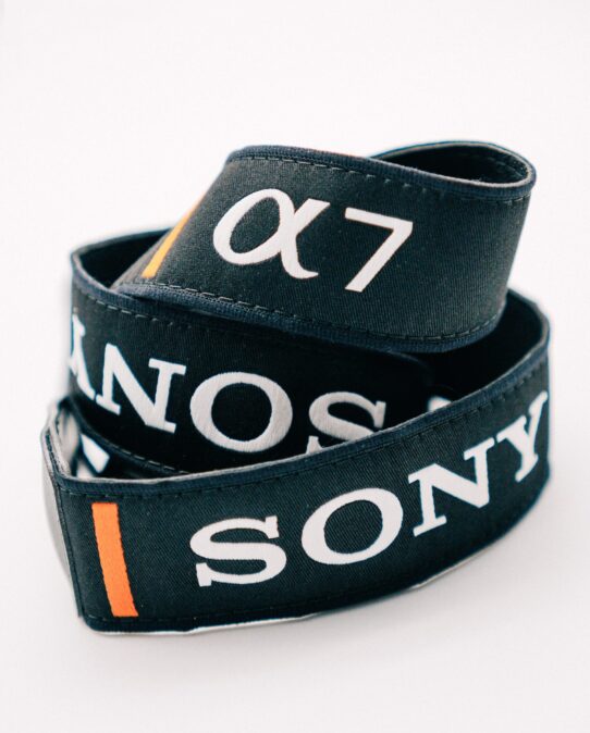 Belt